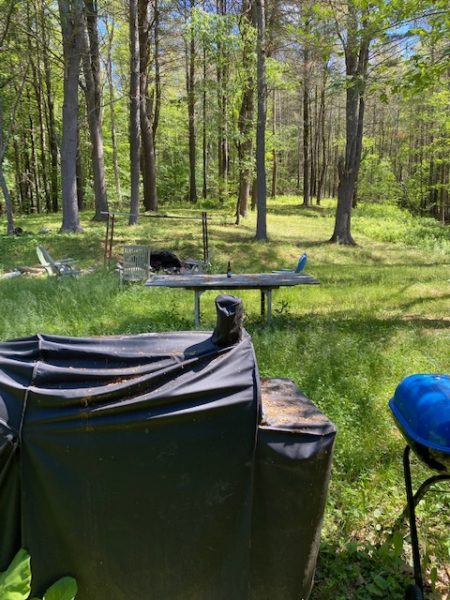 backyard of home for sale at maltz auctions